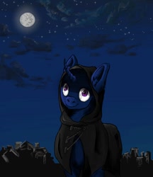 Size: 656x758 | Tagged: safe, artist:lambs prey, derpibooru import, oc, oc:lemon pink, oc:night watcher, pony, unicorn, fanfic:prey and a lamb, cultist, fanfic art, hooded cape, moon, night, vanhoover