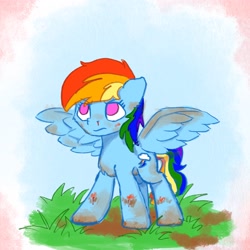 Size: 2048x2048 | Tagged: safe, artist:anderdragon76, artist:anderdraws, derpibooru import, rainbow dash, pegasus, pony, dirty, female, grass, mud, no pupils, solo, spread wings, wings
