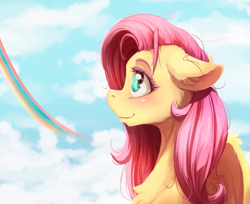 Size: 1149x937 | Tagged: safe, artist:alcor, derpibooru import, fluttershy, blushing, chest fluff, cloud, cute, ear fluff, ears, floppy ears, rainbow, shyabetes, solo