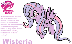 Size: 1048x640 | Tagged: safe, artist:pinkamenarockscute13, derpibooru import, wysteria, pegasus, pony, g3, g4, female, g3 to g4, generation leap, mare, my little pony logo, profile, shocked, simple background, spread wings, text, white background, wings