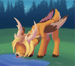 Size: 2767x2426 | Tagged: safe, artist:dusthiel, derpibooru import, oc, oc only, deer, deer pony, original species, peryton, drinking, eyes closed, forest, male, puddle, solo, stag, tongue, tongue out