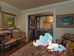 Size: 1440x1080 | Tagged: safe, artist:jaredking779, artist:wraithx79, derpibooru import, princess celestia, alicorn, pony, crown, female, irl, jewelry, lying down, mare, oklahoma, oklahoma city, photo, pillow, ponies in real life, prone, regalia, sitting