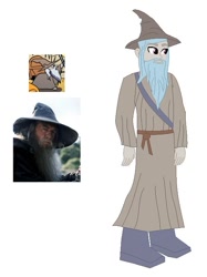 Size: 553x741 | Tagged: safe, artist:robertsonskywa1, derpibooru import, idw, equestria girls, spoiler:comic15, beard, clothes, equestria girls-ified, facial hair, gandalf, gandalf the grey, hat, lord of the rings, photo, pony to human, robe, simple background, solo, species swap, transformation, white background, wizard, wizard hat