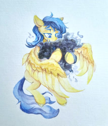 Size: 2500x2936 | Tagged: safe, artist:laymy, derpibooru import, oc, oc only, pegasus, pony, solo