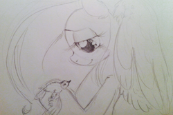 Size: 1125x750 | Tagged: safe, artist:kluzart, derpibooru import, fluttershy, bird, pegasus, pony, bust, female, holding, lidded eyes, looking at someone, mare, monochrome, pencil drawing, profile, smiling, solo, spread wings, traditional art, wings