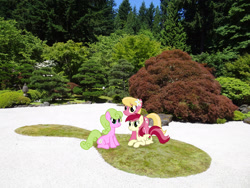 Size: 2048x1536 | Tagged: safe, artist:jaredking779, artist:vector-brony, derpibooru import, daisy, flower wishes, lily, lily valley, roseluck, earth pony, pony, female, flower, flower in hair, flower trio, garden, irl, lily (flower), lying down, mare, oregon, photo, ponies in real life, portland, prone, sitting, trio