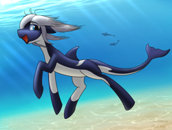 Size: 3000x2250 | Tagged: safe, artist:dash wang, derpibooru import, oc, oc only, oc:toy joy, dolphin, orca, orca pony, original species, whale, blue eyes, crepuscular rays, digital art, dorsal fin, female, fish tail, flowing mane, flowing tail, mare, ocean, open mouth, open smile, signature, smiling, solo, sunlight, tail, teeth, underwater, water, white mane