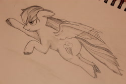 Size: 5184x3456 | Tagged: safe, artist:lawliet13, derpibooru import, rainbow dash, pegasus, pony, flying, monochrome, sketch, solo, traditional art