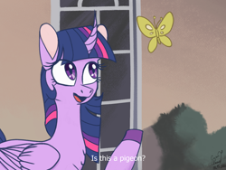 Size: 1280x960 | Tagged: safe, artist:cyan7cloud, derpibooru import, twilight sparkle, twilight sparkle (alicorn), alicorn, butterfly, pony, colored hooves, curved horn, dialogue, female, folded wings, horn, is this a pigeon, looking at something, looking up, mare, meme, open mouth, outdoors, pointing, ponified, ponified meme, raised hoof, raised leg, solo, subtitles, three quarter view, wings