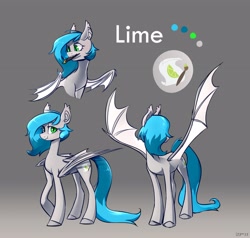 Size: 4096x3899 | Tagged: safe, artist:laymy, derpibooru import, oc, oc only, bat pony, pony, bat pony oc, reference sheet, solo