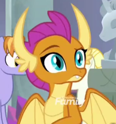 Size: 570x606 | Tagged: safe, derpibooru import, screencap, auburn vision, smolder, summer breeze, dragon, earth pony, pegasus, pony, school daze, cropped, dragoness, female, friendship student, raised eyebrow, solo focus, spread wings, wings