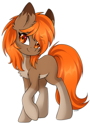 Size: 3396x4657 | Tagged: safe, artist:torihime, derpibooru import, oc, oc only, oc:autumn breeze, earth pony, pony, brown coat, chest fluff, coat markings, colored eartips, ear fluff, ears, eye clipping through hair, eyebrows, eyebrows visible through hair, female, full body, heart, heart eyes, looking at you, mare, orange eyes, orange mane, orange tail, pale belly, simple background, smiling, smiling at you, socks (coat marking), solo, tail, transparent background, wingding eyes