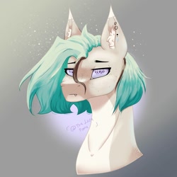 Size: 2000x2000 | Tagged: safe, artist:thelazyponyy, derpibooru import, oc, oc only, earth pony, pony, bust, ear fluff, ear piercing, earring, ears, earth pony oc, female, jewelry, mare, piercing, solo