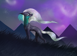 Size: 2735x1976 | Tagged: safe, artist:thelazyponyy, derpibooru import, oc, oc only, earth pony, pony, aurora borealis, ear fluff, ears, earth pony oc, looking back, mountain, solo, tattoo