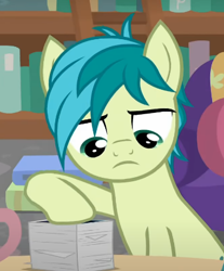 Size: 360x435 | Tagged: safe, derpibooru import, screencap, sandbar, earth pony, pony, what lies beneath, bookshelf, cropped, ladder, looking down, male, sandbar is not amused, solo, unamused