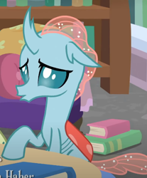 Size: 426x515 | Tagged: safe, derpibooru import, screencap, ocellus, changedling, changeling, what lies beneath, book, bookshelf, cropped, solo