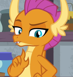 Size: 524x552 | Tagged: safe, derpibooru import, screencap, smolder, dragon, molt down, cropped, dragoness, female, looking at you, raised eyebrow, solo