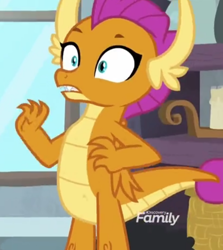 Size: 772x864 | Tagged: safe, derpibooru import, screencap, smolder, dragon, molt down, cropped, dragoness, female, reaction image, solo