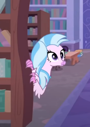 Size: 294x412 | Tagged: safe, derpibooru import, screencap, silverstream, classical hippogriff, hippogriff, what lies beneath, bookshelf, cropped, jewelry, necklace, solo