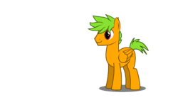 Size: 1280x720 | Tagged: safe, artist:jamextreme140, derpibooru import, oc, oc only, oc:galder rust, pegasus, pony, adobe animate, animated, simple background, solo, spread wings, white background, wings