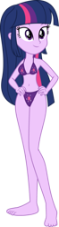 Size: 158x600 | Tagged: safe, alternate version, artist:m-brony96, derpibooru import, twilight sparkle, twilight sparkle (alicorn), alicorn, equestria girls, clothes, female, image, png, simple background, solo, swimsuit, transparent background, wwe