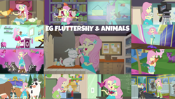 Size: 1966x1106 | Tagged: safe, derpibooru import, edit, edited screencap, editor:quoterific, screencap, fluttershy, rainbow dash, winona, bird, chicken, cow, dog, goat, owl, a little birdie told me, eqg summertime shorts, equestria girls, equestria girls series, five to nine, get the show on the road, hamstocalypse now, i'm on a yacht, outtakes (episode), pet project, road trippin, so much more to me, spring breakdown, stressed in show, stressed in show: fluttershy, tip toppings, tip toppings: fluttershy, spoiler:eqg series (season 2), camp everfree outfits, clothes, cutie mark on clothes, eyes closed, female, geode of fauna, hairpin, jewelry, magical geodes, necklace, open mouth, open smile, smiling, tanktop, text, video camera