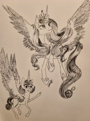 Size: 2968x3996 | Tagged: safe, artist:cahandariella, derpibooru import, princess cadance, princess flurry heart, alicorn, derp, feather, monochrome, pen sketch, royal family, spread wings, traditional art, wings