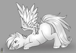 Size: 2039x1446 | Tagged: safe, artist:natt333, derpibooru import, rainbow dash, pegasus, pony, black and white, blank flank, face down ass up, fangs, female, grayscale, mare, missing cutie mark, monochrome, solo, spread wings, teeth, wings