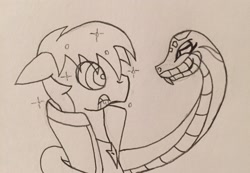 Size: 2446x1694 | Tagged: safe, artist:lunahazacookie, derpibooru import, oc, oc only, earth pony, snake, bedroom eyes, clothes, duo, earth pony oc, hypno eyes, kaa eyes, lineart, male, stallion, traditional art