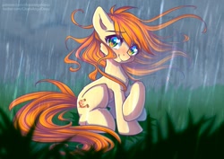 Size: 807x571 | Tagged: safe, artist:chaosangeldesu, derpibooru import, oc, oc only, oc:polya, earth pony, pony, female, mare, rain, sitting, solo, windswept mane