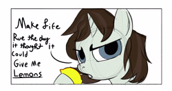 Size: 3000x1596 | Tagged: safe, artist:paintedskies, derpibooru import, oc, oc:lemoneefresh, caption, comic panel, meme, text