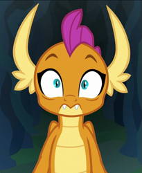 Size: 591x720 | Tagged: safe, derpibooru import, screencap, smolder, dragon, what lies beneath, cropped, dragoness, female, looking at you, reaction image, solo