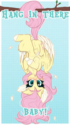 Size: 1024x1821 | Tagged: safe, artist:krypticquartz, derpibooru import, fluttershy, pony, blushing, chest fluff, cute, daaaaaaaaaaaw, ear fluff, ears, feather, hang in there, hanging, obtrusive watermark, open mouth, prehensile tail, shyabetes, solo, tail, tail hold, tree branch, watermark