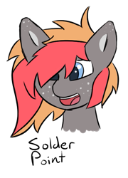 Size: 429x595 | Tagged: safe, artist:solder point, derpibooru import, oc, oc only, oc:solder point, earth pony, pony, blue eyes, bust, colored, cute, digital art, freckles, gray coat, long hair, long mane, male, open mouth, signature, simple background, smiling, solo, stallion, white background