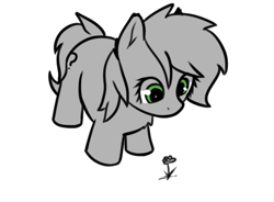 Size: 499x367 | Tagged: safe, artist:neuro, oc, oc only, oc:anon filly, earth pony, pony, earth pony oc, female, filly, flower, foal, gray, simple background, solo, transparent background