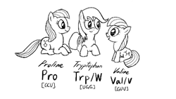 Size: 376x212 | Tagged: safe, artist:truthormare, ponerpics import, oc, oc:proline, oc:triptophan, oc:valine, earth pony, pony, chemistry, codon, female, filly, foal, lowres, mare, molecule, monochrome, ponified, structural formula, trio