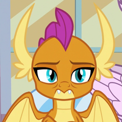 Size: 621x622 | Tagged: safe, derpibooru import, screencap, silverstream, smolder, classical hippogriff, dragon, hippogriff, season 8, what lies beneath, spoiler:s08, cropped, dragoness, female, looking at you, partially open wings, solo focus, wings