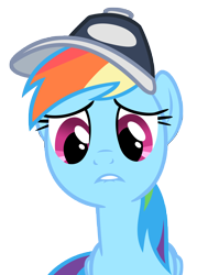 Size: 5714x8000 | Tagged: safe, artist:that guy in the corner, derpibooru import, rainbow dash, pegasus, pony, may the best pet win, cap, female, hat, mare, simple background, solo, transparent background, vector