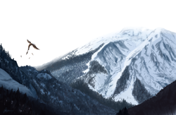 Size: 2000x1300 | Tagged: safe, artist:raminy, derpibooru import, griffon, day, flying, forest, hill, mountain, mountain range, scenery, snow