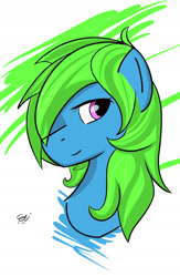 Size: 1422x2177 | Tagged: safe, artist:paintedskies, derpibooru import, oc, oc only, oc:sweetcakes, earth pony, pony, bust, colored, portrait