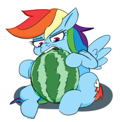 Size: 473x476 | Tagged: safe, artist:jargon scott, derpibooru import, rainbow dash, pegasus, pony, biting, female, food, mare, simple background, sitting, solo, watermelon, white background