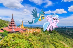 Size: 1000x667 | Tagged: safe, artist:frownfactory, derpibooru import, edit, gallus, silverstream, pony, irl, mandalay, myanmar, photo, ponies in real life