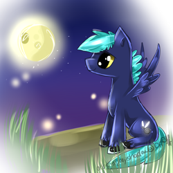 Size: 1000x1000 | Tagged: safe, artist:aquagalaxy, derpibooru import, oc, oc only, pegasus, pony, male, moon, solo, stallion, unshorn fetlocks