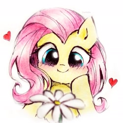 Size: 1939x1939 | Tagged: safe, artist:liaaqila, derpibooru import, fluttershy, pegasus, pony, blushing, c:, cute, female, flower, heart, hooves on cheeks, mare, shyabetes, signature, simple background, smiling, solo, traditional art, white background