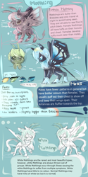 Size: 2000x4000 | Tagged: safe, artist:aquagalaxy, derpibooru import, moth, mothpony, original species, pony, high res, reference sheet