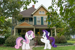 Size: 2048x1365 | Tagged: safe, artist:korsoo, artist:mlplover94, artist:sollace, derpibooru import, rarity, sweetie belle, pony, unicorn, female, grin, indiana, indianapolis, irl, mare, older, older sweetie belle, photo, ponies in real life, siblings, sisters, smiling