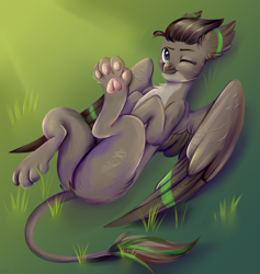 Size: 3600x3800 | Tagged: safe, artist:ske, derpibooru import, oc, oc only, griffon, grass, green eyes, griffon oc, one eye closed, paw pads, paws, solo, toe beans, underpaw, wings, wink