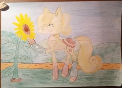 Size: 995x720 | Tagged: safe, artist:melody_visher, derpibooru import, oc, oc only, flower, solo, sunflower, traditional art