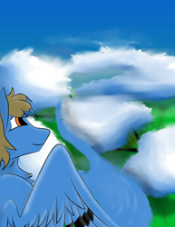 Size: 2550x3300 | Tagged: safe, artist:mr_nate89, derpibooru import, oc, oc:nate, pegasus, brown hair, cloud, flying