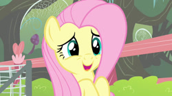 Size: 1233x692 | Tagged: safe, derpibooru import, screencap, fluttershy, pegasus, pony, cute, episode needed, female, mare, shyabetes
